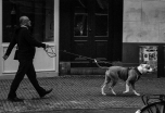 Man met hond op Thorbeckeplein Amsterdam 2007