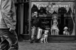 20160326-_DSF0311-bewerkt