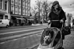 20170304-_CA11685-bewerkt