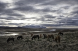 Iceland