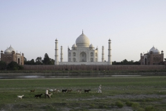 20140923-_CA21089-bewerkt-2