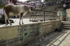 20140925-_CA21176-bewerkt