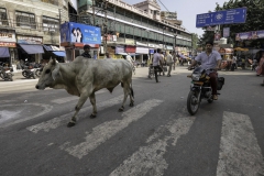 20140925-_CA21265-bewerkt-2