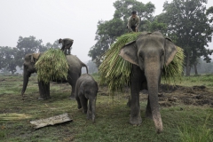 20140928-_CA21805-bewerkt