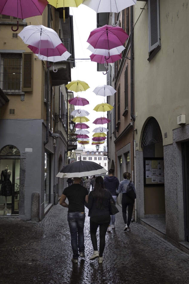 Paraplu's boven de straat